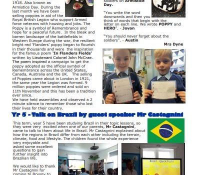 Weekly Newsletter w/e 11th November 2022